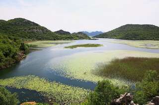 Апартаменты Villa Skadar Lake Karuč Апартаменты с 2 спальнями-39