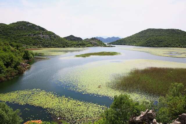 Апартаменты Villa Skadar Lake Karuč-41