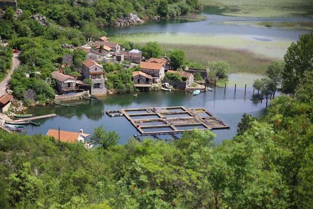 Апартаменты Villa Skadar Lake Karuč-68